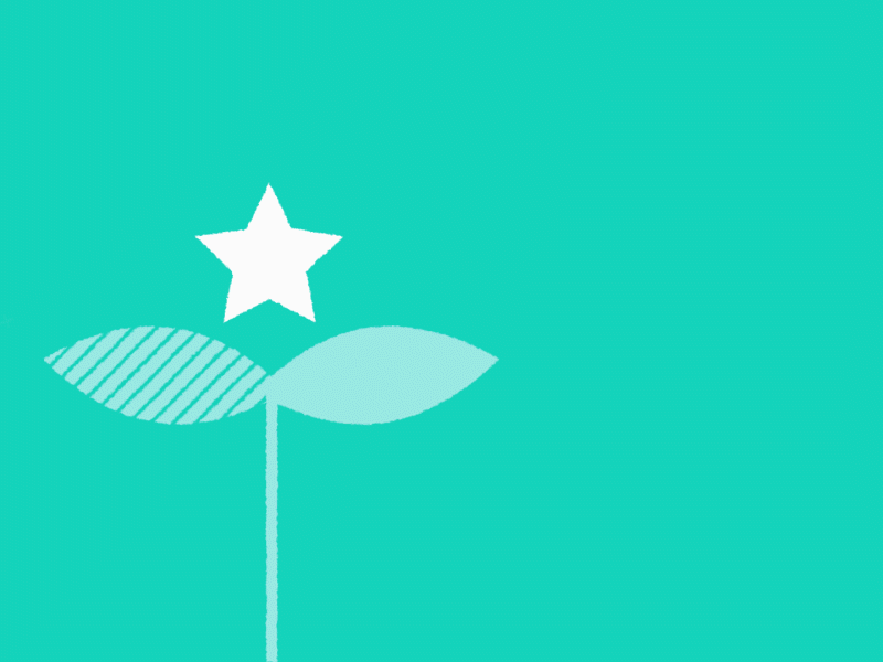GIF of plants growing and, once bloomed, stars appearing