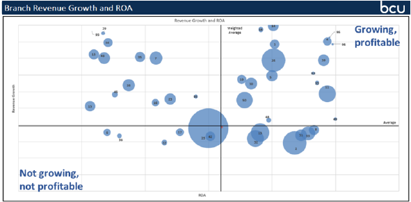 Figure 2. Sample BCU Branch Profitability Report: Revenue Growth and Return on Assets